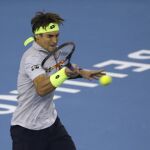 David Ferrer