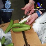 Interceptados 171 kilos de cocaína ocultos en bananas sintéticas