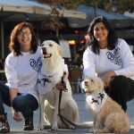 Sanperrestre 2015: los perros toman la calle
