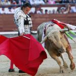 Torero veterano, de dinastía y de corte artista