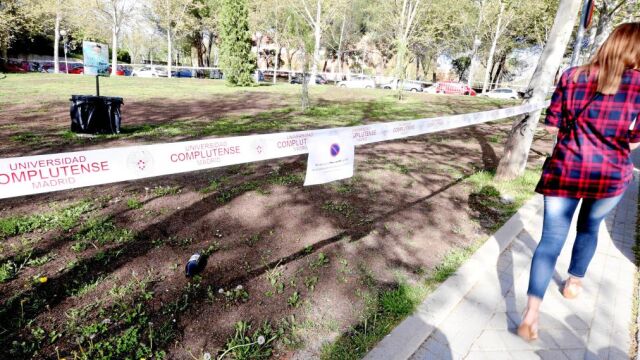 Desde el pasado lunes, los terrenos con césped donde los estudiantes suelen asentarse para hacer botellón en San Cemento están vallados y abonados. El rector, Carlos Andradas, ha lanzado una campaña en Twitter para pedir «civismo»