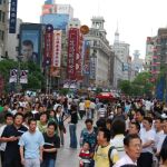 Shangai implantará la política del «perro único»