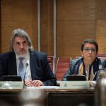 La presidenta de la Plataforma por las Garantías Ciudadanas, Inmaculada Sánchez Ruiz (d), y el abogado de la entidad, Alberto Ganga (i), comparecen ante la Comisión de Investigación de la Financiación de los Partidos Políticos del Senado.