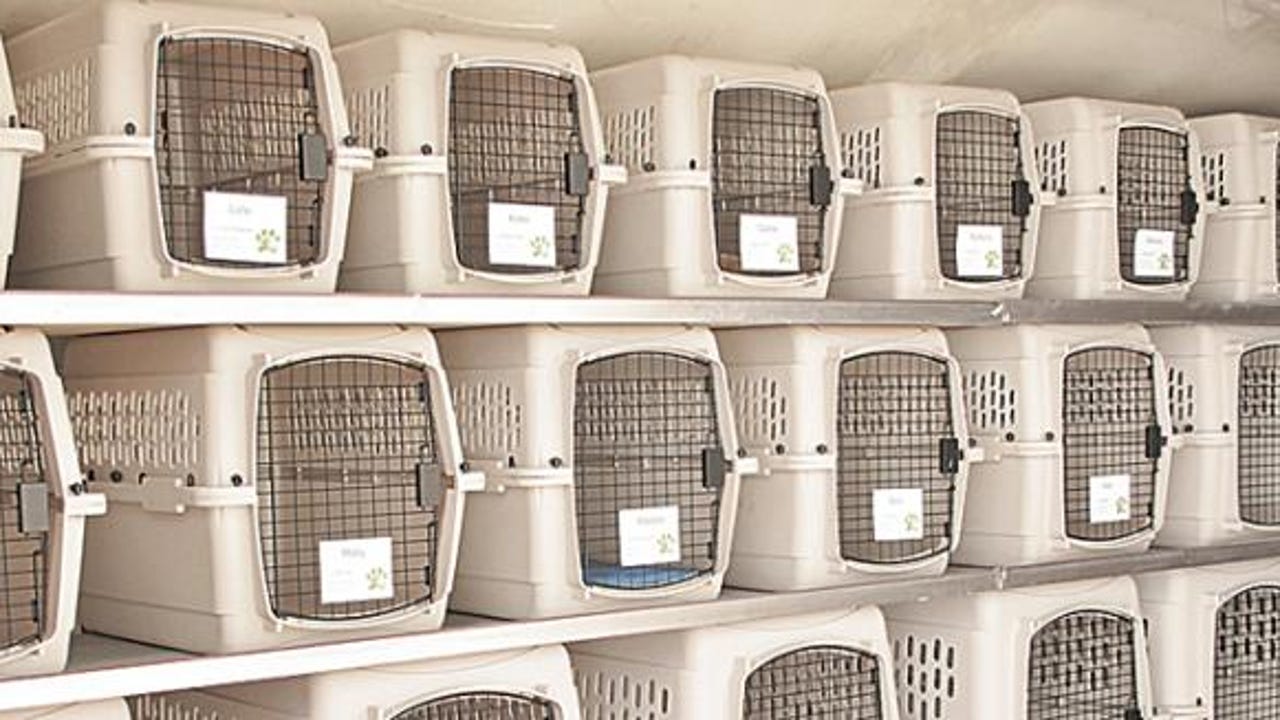 Las aerolíneas pagarán lo mismo por la pérdida de un equipaje que por una mascota