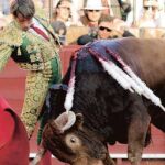 Los toros de El Pilar los mejores