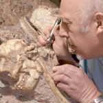Restos de homíninos hallados en las excavaciones de Sterkfontein, en Suráfrica