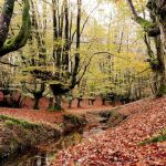 Un fin de semana en Gorbeia