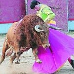 Solidaridad torera: dos orejas, el rabo y un riñón