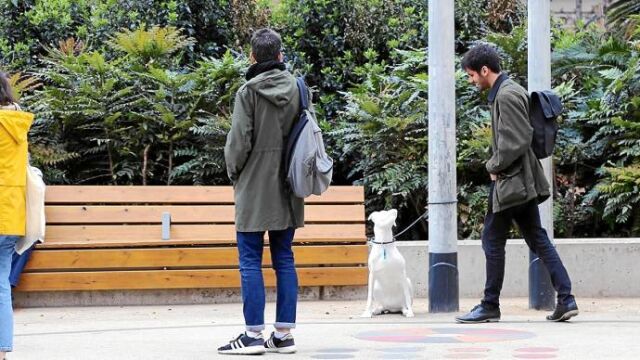 Las estatuas corresponden a perros reales como Neula a la que abandonaron atando a una farola