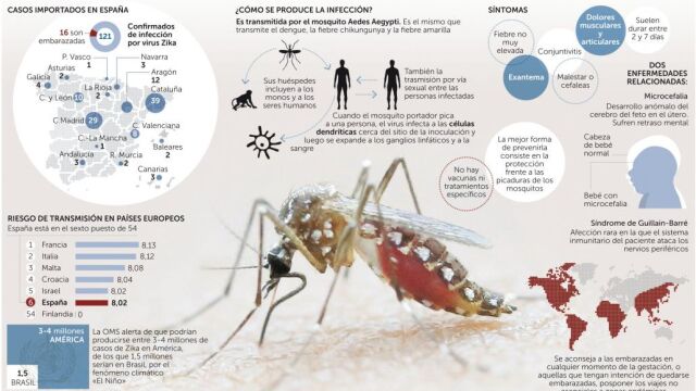 Después del zika, la fiebre amarilla