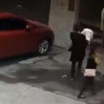 La caída del can deja inconsciente a la mujer