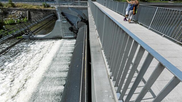 El Consistorio sostiene que la actividad del remo es incompatible con la renaturalización del río porque afecta a su ecosistema / Foto: Alberto R. Roldán