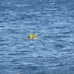 Rescatan a un bebé en una barca hinchable a un kilómetros de la costa