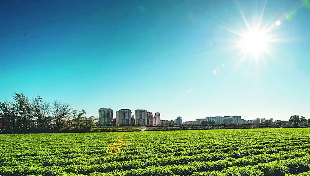 Valencia todavía cuenta con importantes espacios de huerta que sufren la presión de la expansión de la ciudad