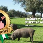 Página web de la empresa malagueña Pig Demont, en la cual se pueden encontrar paletillas de jamón ibérico, vinos, aceites o quesos.