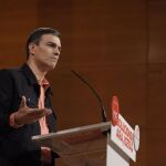El secretario general del PSOE, Pedro Sánchez