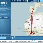 Recorrido de varias golondrinas del programa de seguimiento de SEO