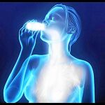  Los probióticos no son necesarios si estás sano