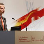 El Rey Felipe durante su intervención en la reunión del Comité Bilateral de Cooperación Empresarial Hispano - Japonés que ha tenido lugar en un hotel de Tokio