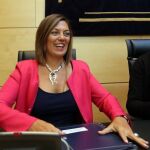 La portavoz de la Junta y consejera de Agricultura y Ganadería, Milagros Marcos, comparece en las Cortes autonómicas para presentar sus cuentas