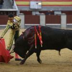 José Ruiz Muñoz en la plaza de toros de Las Ventas