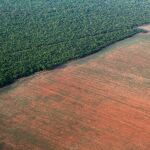 Brasil producirá un récord de 97,8 millones de toneladas de soja en 2015/16