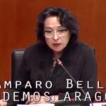 La diputada de Podemos en Aragón Amparo Bella