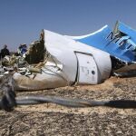 El ministro de Situaciones de Emergencia ruso, Vladimir Puchkov observa el fuselaje del avión siniestrado en el Sinaí (Egipto).