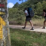 Peregrinos en el Camino de Santiago