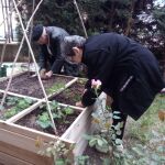 Dos personas de edad avanzada cuidan de un huerto