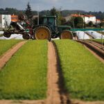 Explotación agraria de Castilla y León