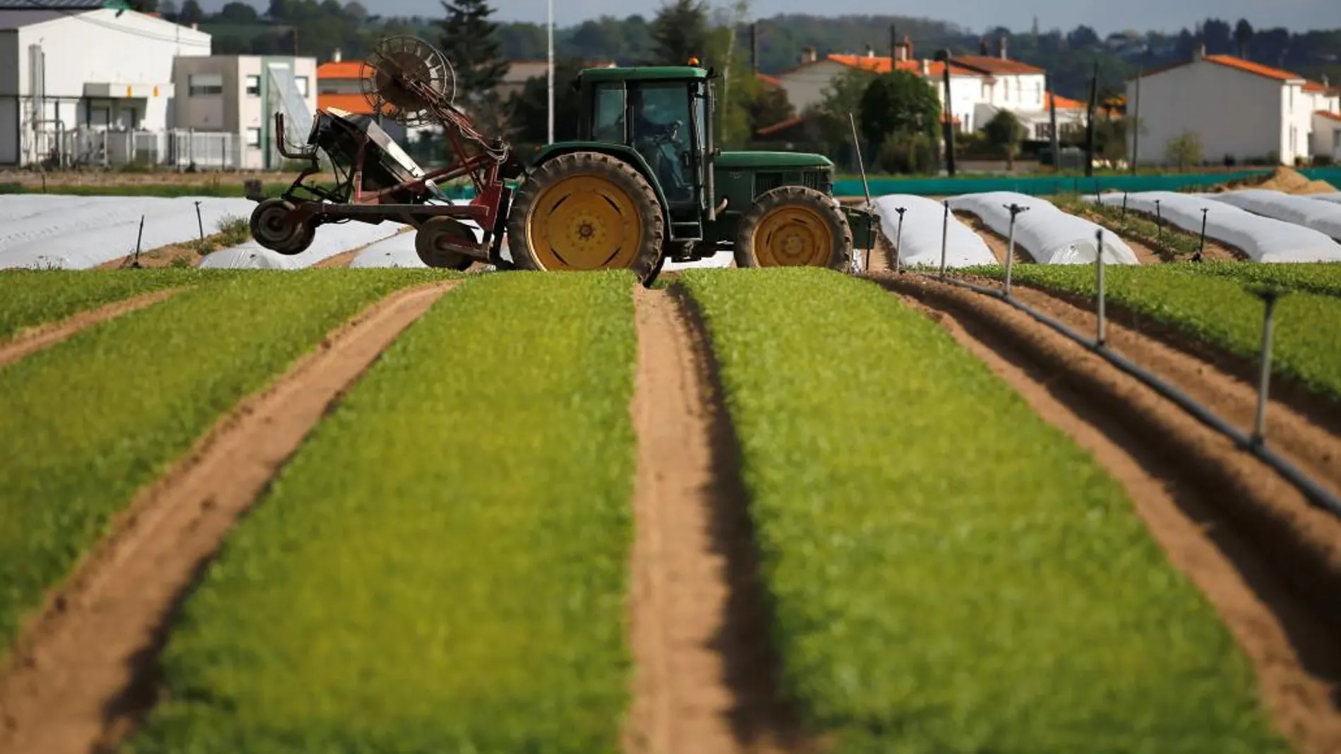 Explotación agraria de Castilla y León