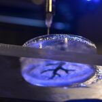 Bioimpresión en 3-D de una estructura de arteria coronaria