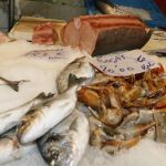 Productos pesqueros en un mercado