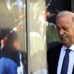 El seleccionador naciona, Vicente del Bosque