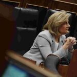 La ministra de Empleo, Fátima Báñez, en el Congreso