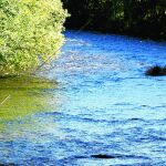 Un pescador en el río Sil a su paso por Ponferrada (León)