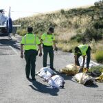 Las «otras» víctimas de los accidentes de tráfico