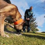 Elton marca una muestra de sangre que ha escondido Juan Manuel, su guardia civil guía