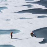 El oceano Ártico está cubierto por capas de hielo que no dejan pasar la luz, lo que condiciona la vida del lecho marino.