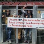 La Policía desaloja a la protectora de la perrera para que ocupe su puesto una desratizadora
