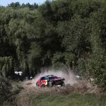 El frnacés Sebastien Loeb