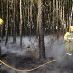 Dos agentes trabajan en la extinción de un incendio en Castilla y Léon.