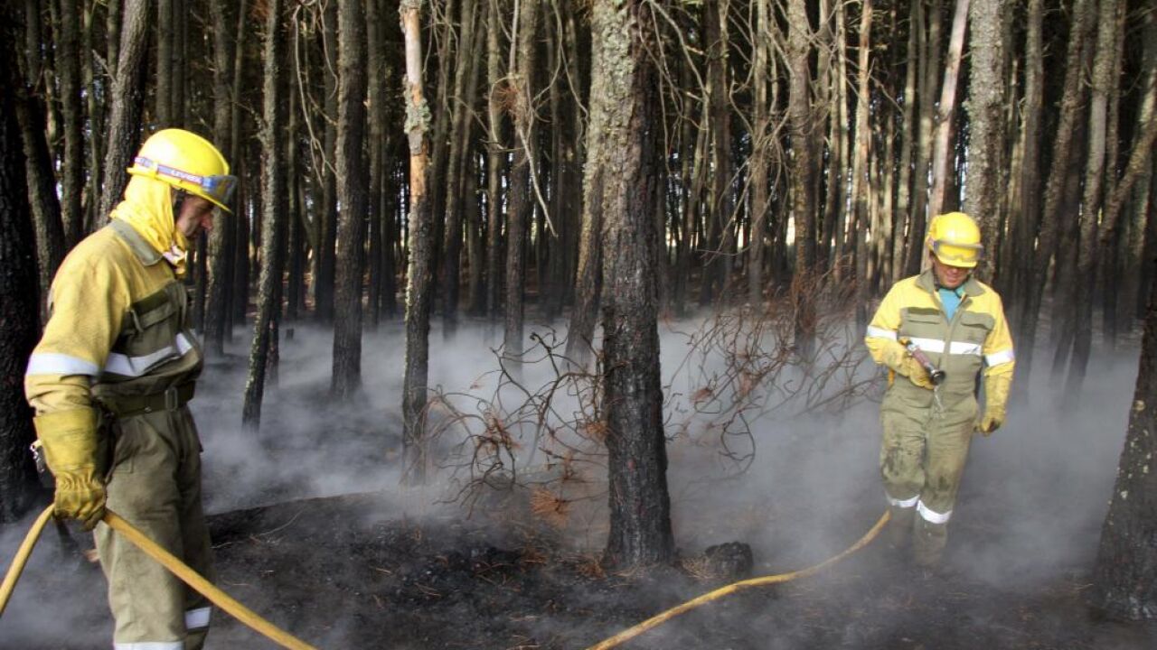 La rápida y eficiente actuación del operativo contra incendios procova ...