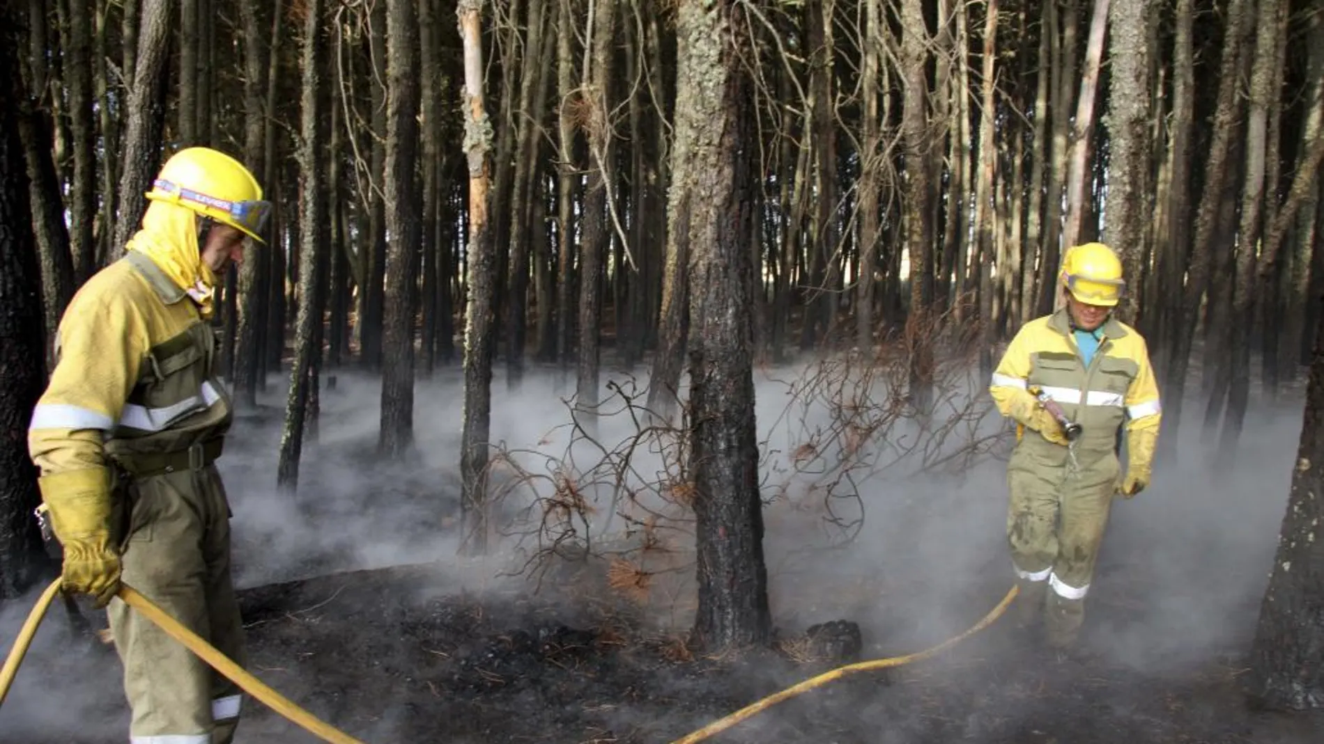 Dos agentes trabajan en la extinción de un incendio en Castilla y Léon.