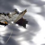 El inicio del otoño se produce cuando el día se acorta hasta durar lo mismo que la noche