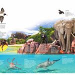 El misterio de la sabiduría animal