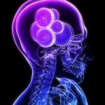 Las cerebrovasculares siguen situándose como las más mortales causando el 23% del total de defunciones cardiovasculares