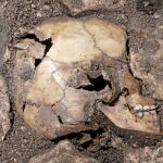 Restos arqueológicos hallados en la Cueva del Portalón