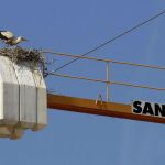 El sector de la construcción reclama «un plan de inversiones serio»